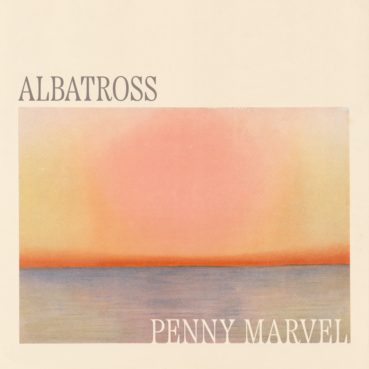 Albatross artwork